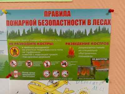 Пожарная безопасность в весенний период!!!.